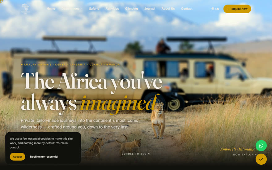 African Safari Trips website screenshot