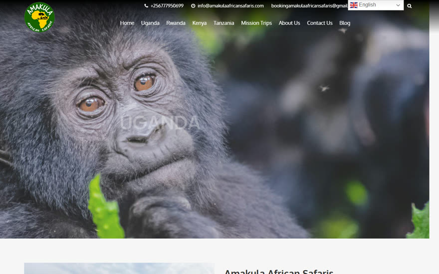 Screenshot of the Amakula African Safaris website